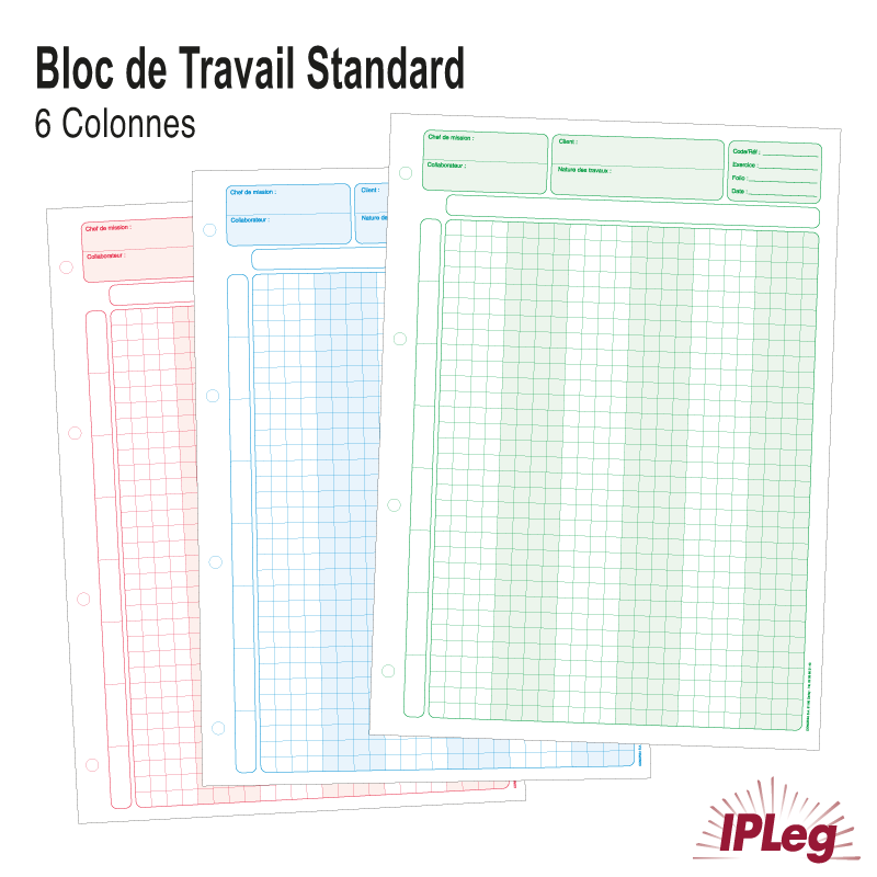 Feuilles de Travail Multi-usage - Bloc de 100 Feuillets